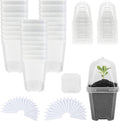 Hyuetrsa 30 Sets Plant Nursery Pots by Unknown