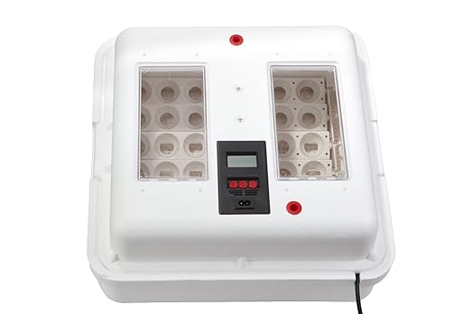 Little Giant® Digital Circulated Air Incubator - Image 4