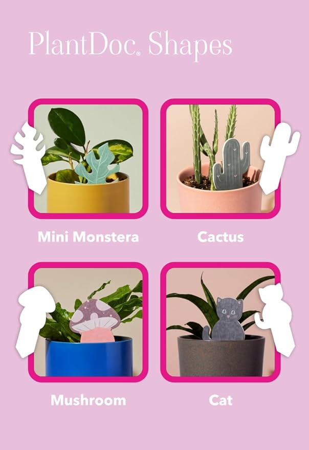Biodegradable Soil Moisture Meter, Visual Reminder to Water Your Indoor Plants - Image 2
