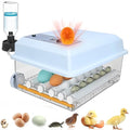 Incubators for Hatching Eggs 16 Egg Automatic Egg Incubator by ZtexkeeHomeFurniture