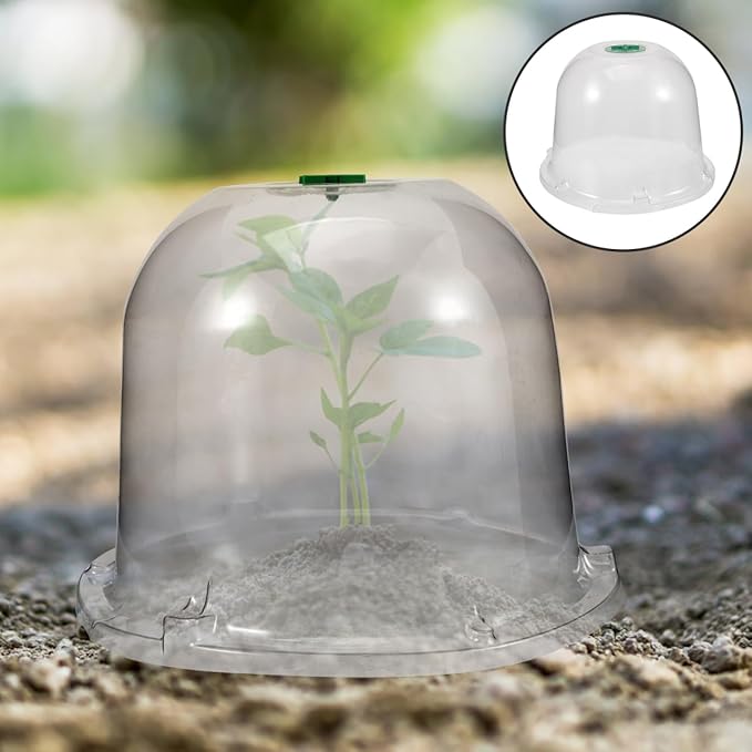 Mikikit Garden Cloche Dome Seedling Cover Plant Humidity Dome Nursery Protector - Image 9