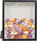 Shell Shadow Box Display Frame by SnowTing