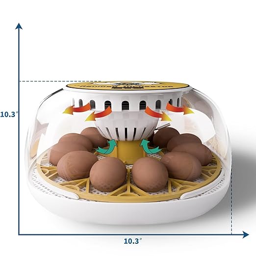 Egg Incubator for Hatching Chicks, 12-24 Egg Incubators - Image 2