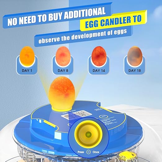 incubators for hatching eggs，18 Egg Incubator, egg incubator - Image 5