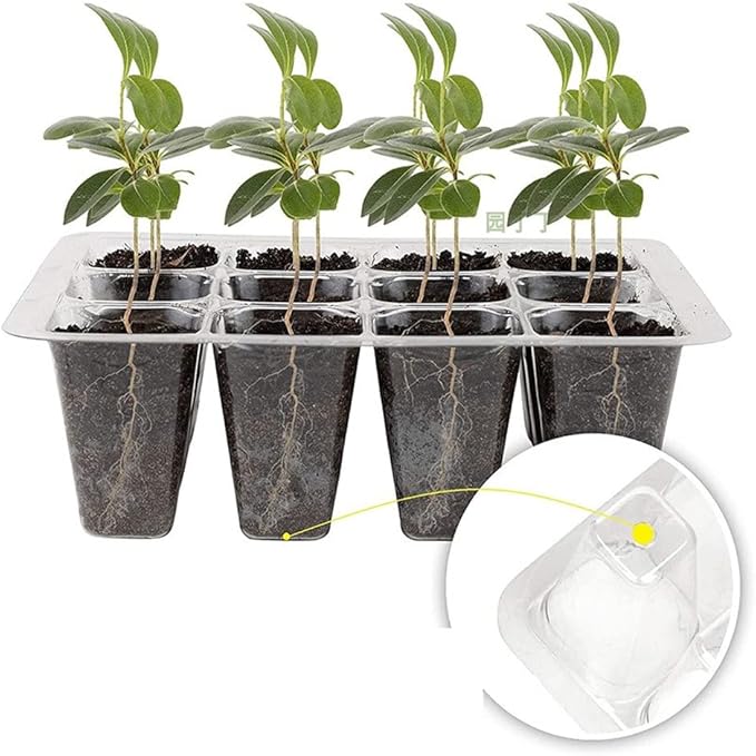3 Pack Seed Starter Tray with Humidity Dome and Base, Plant Germination Kit - Image 4