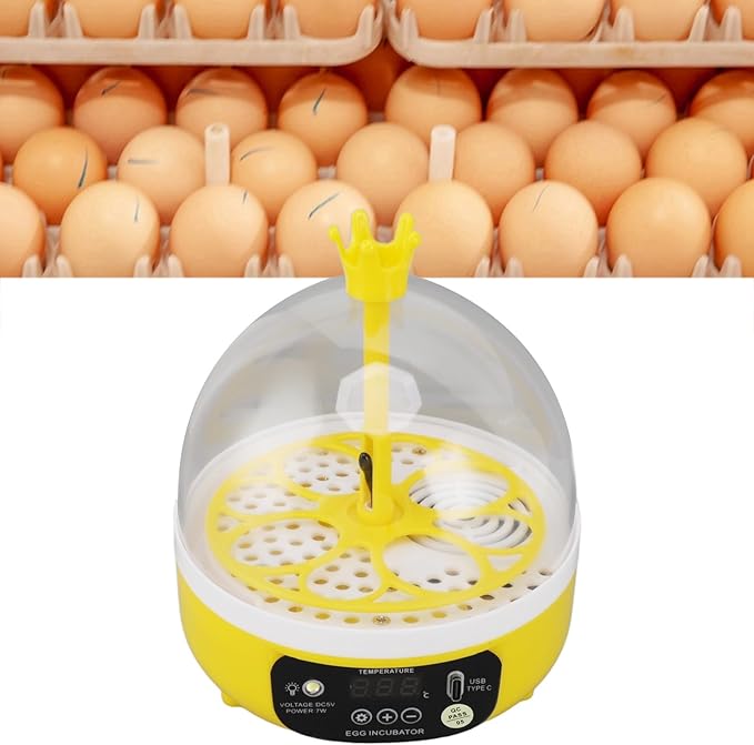 Hapivida 4 Eggs Mini Automatic Incubator, 7W Temperature Humidity Control - Image 4