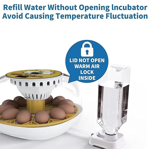 Egg Incubator for Hatching Chicks, 12-24 Egg Incubators - Image 5