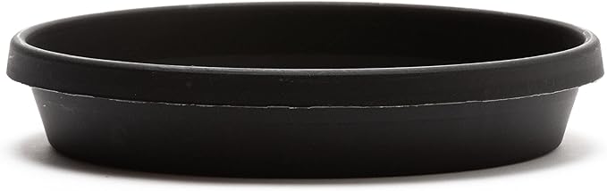 Bloem Terra Resin Saucer Tray: 6.5" Bottom Width by Bloem