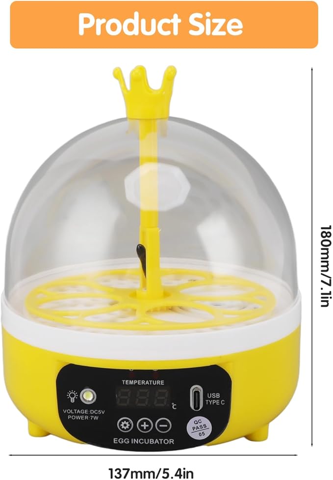 4 Eggs Mini Incubator with Transparent Lid, 7W Automatic Temperature Humidity - Image 2