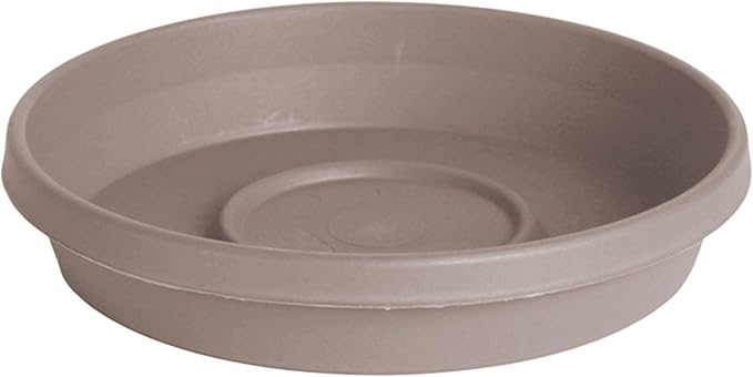 Bloem Terra Resin Saucer Tray: 8" Bottom Width by Bloem