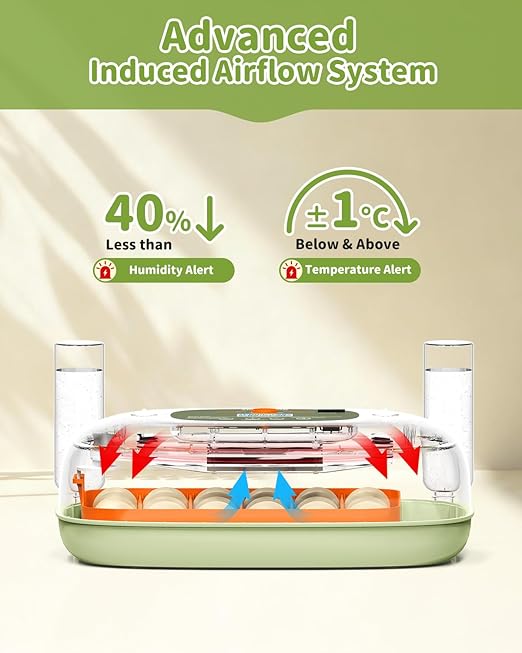 Egg Incubator for 24 Chicken Eggs - Image 3