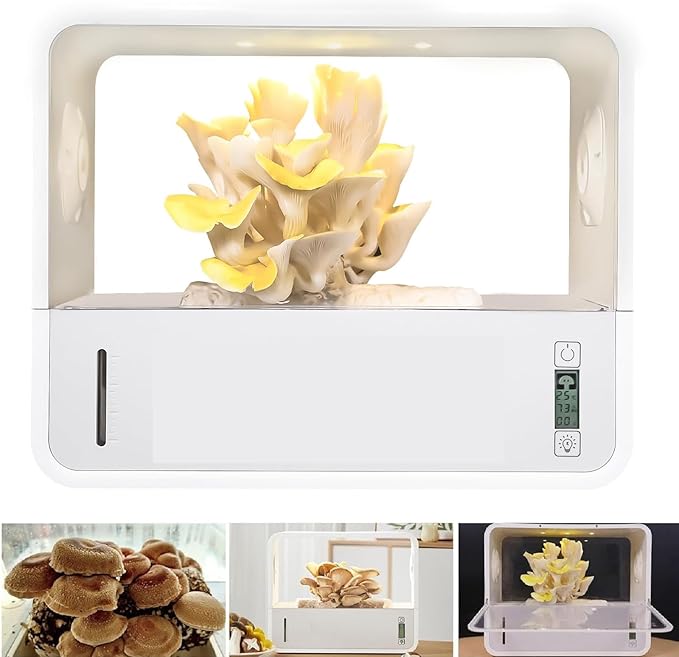 Mushroom Grow Box with LCD Display and LED Grow Light, Smart Mushroom Growing by Unknown