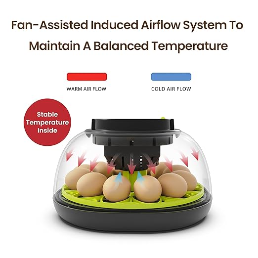 Incubators for Hatching Eggs 12 Egg Incubator - Image 2