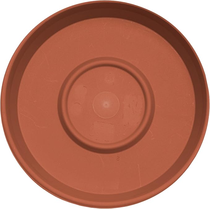 Bloem Terra Resin Saucer Tray: 15" Bottom Width - Image 5