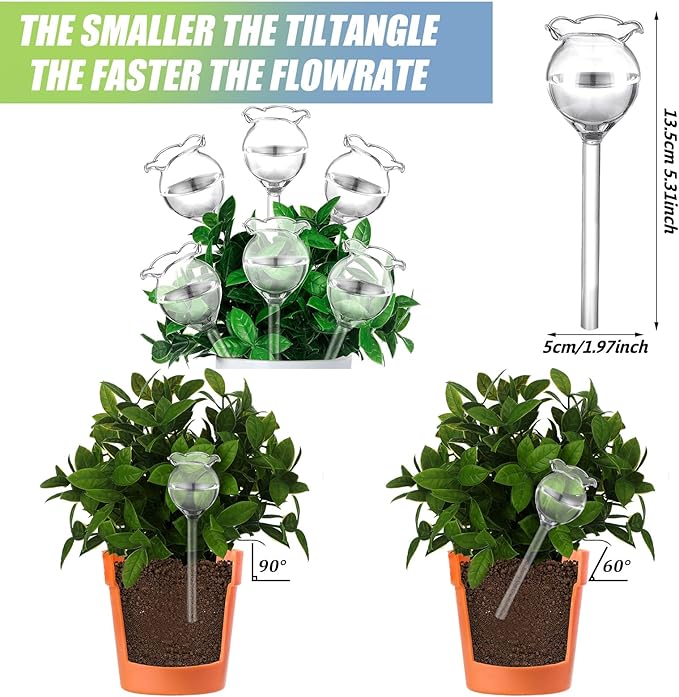 Yungyan 6 Pcs Self Watering Plant Globes Glass Cactus Insert Watering Devices - Image 3