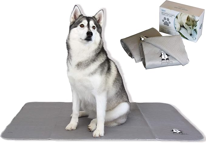 Washable Pee Pads for Dogs XXL, Reusable Puppy Training Pads, Ultra Absorbent & by TRENDY+DEN+CREATIONS