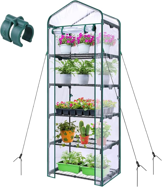 Mini Greenhouse for Outdoors Indoor: Ohuhu Small Plants Green House by Ohuhu