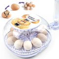 12 Egg Incubators for Hatching Eggs | by LUODIRGB