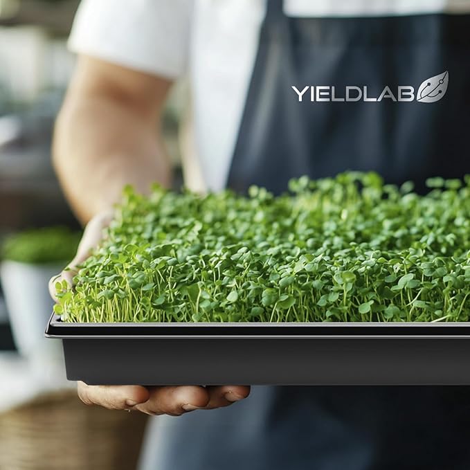 10x20 Inch Black Plastic 100 Pack Plant Propagation Tray – Growing Trays - Image 7