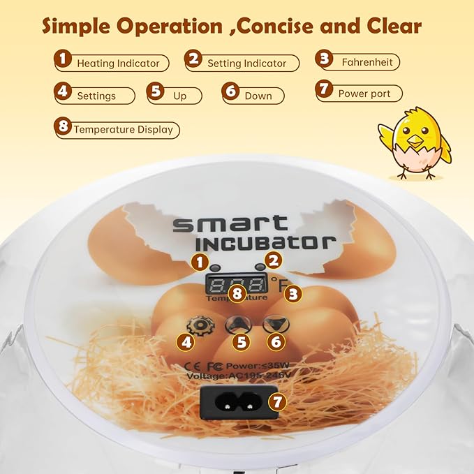 Egg Incubator for Hatching Chicks, Automatic Egg Turner Holds 12 Eggs, Smart - Image 5