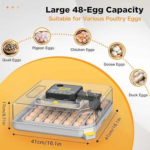 Incubator for Hatching 48 Eggs - Image 2