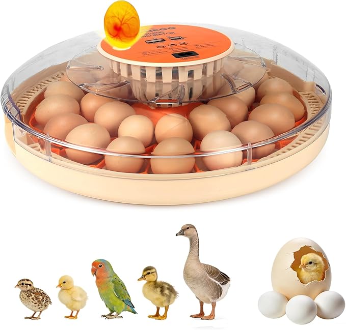 Core Max 30 Egg Incubator for Large-Batch Hatchers, Hands-On Control, Auto Egg by Unknown