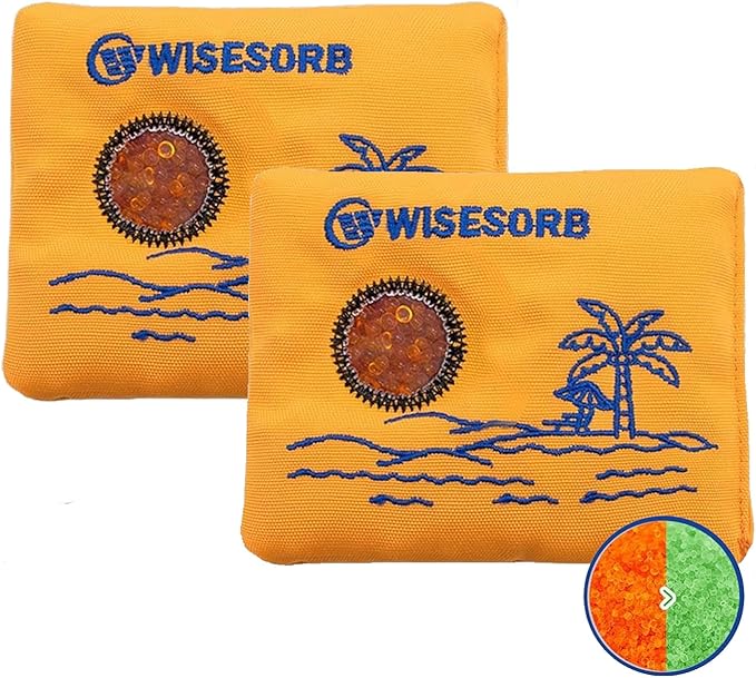 100gx2pcs Rechargeable Desiccant Packs by Wisesorb