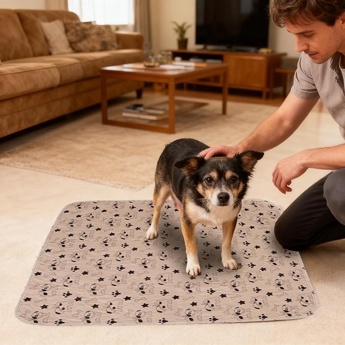Pee Pads - Fast Absorbent Pet Training Mat, 1 Piece Reusable Washable Absorbent - Image 3