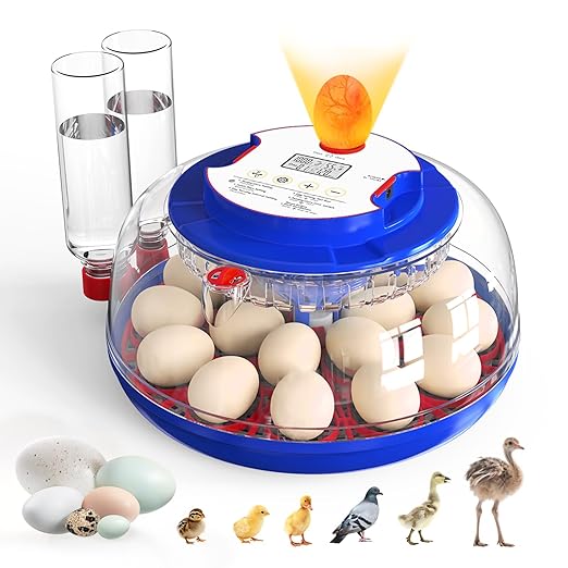 Incubators for Hatching Eggs, 18 Eggs Incubators by MegapuxinOfficial