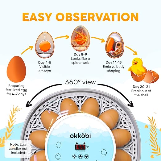 M12 Incubators for Hatching Eggs - Image 4