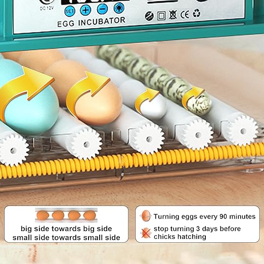 Incubators for Hatching 16 Eggs, Egg Incubator - Image 4