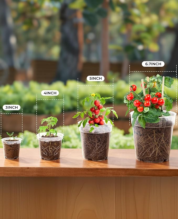 homenote Clear Nursery Pots for Plants, 3/4/5/6.7 Inch Plant Pot for Planting - Image 4