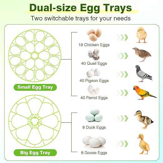 18 Egg Incubators for Hatching Eggs, Egg Incubator - Image 6