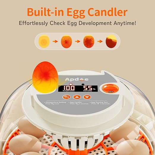 Egg Incubator with Temperature and Humidity Control, Automatic Egg Turning - Image 5