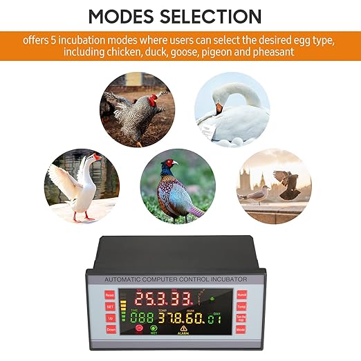 Automatic Egg Incubator 160V-220V 50Hz, Digital LED Display - Image 5