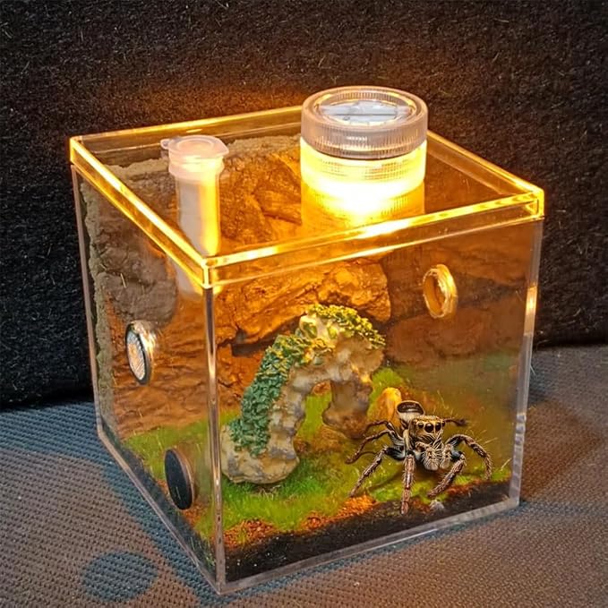 Jumping Spider Habitat LED-Lit Acrylic Enclosure Built-in Scenery Ventilation by Unknown