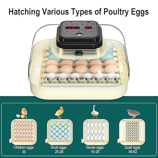 35 Egg Incubator with Automatic Egg Turning and Humidity Control, Incubator - Image 6