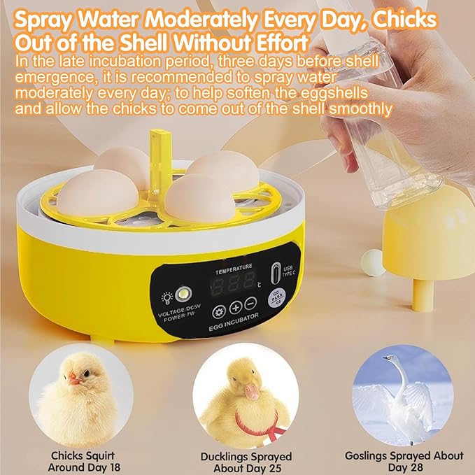 Tissting 4 Eggs Mini Incubator - Image 5