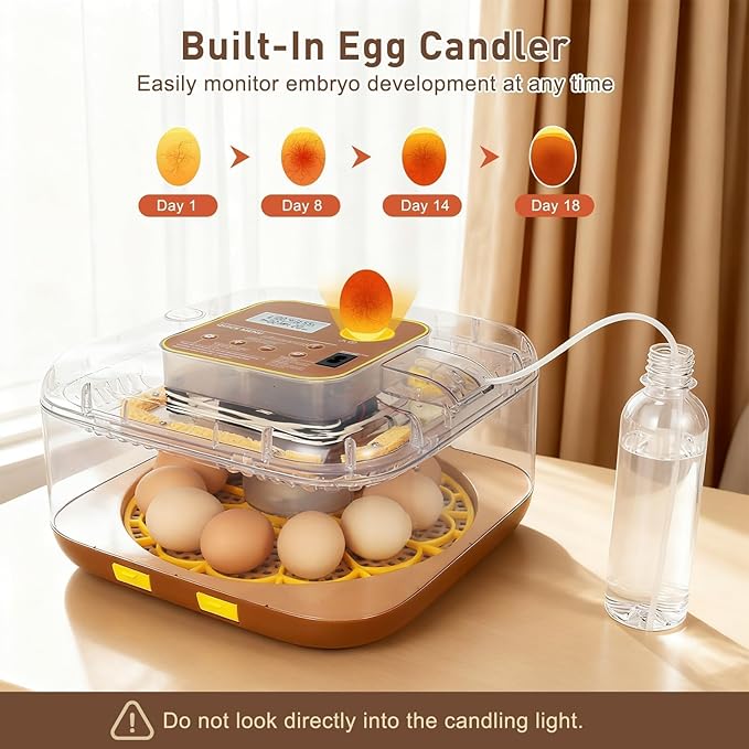 2026 New Auto 12-Egg Incubator for Beginners, Automated Incubation, - Image 3