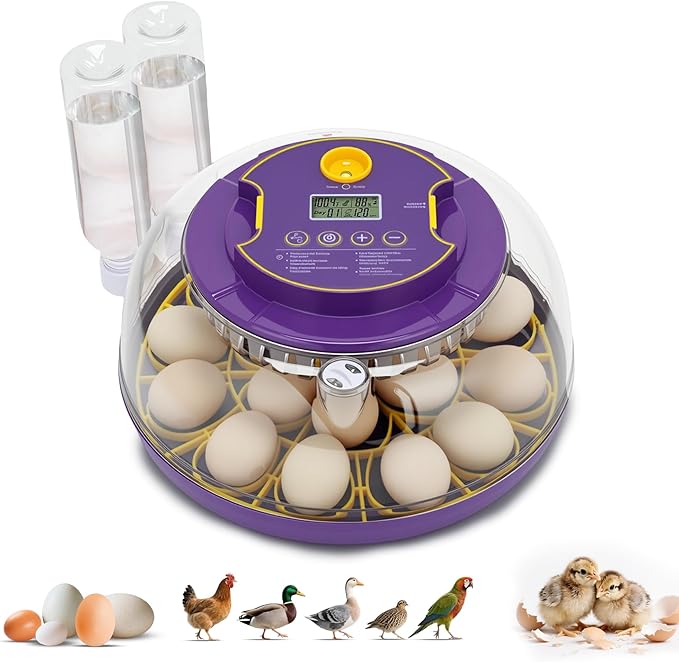 18 Egg Incubator for Hatching Eggs – by Fanxier