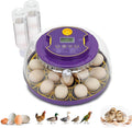 18 Egg Incubator for Hatching Eggs – by Fanxier