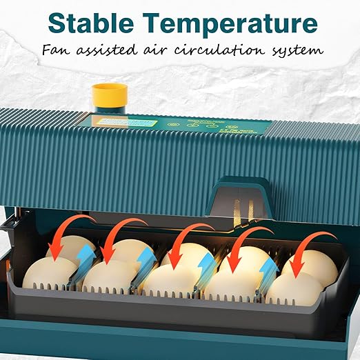 Incubator for Hatching Chicks, 10 Eggs Incubators - Image 4