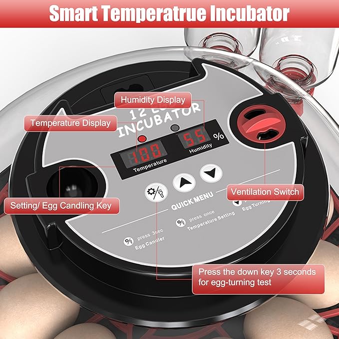 12 Egg Incubator with Temperature Control, Humidity Display, Automatic Egg - Image 6