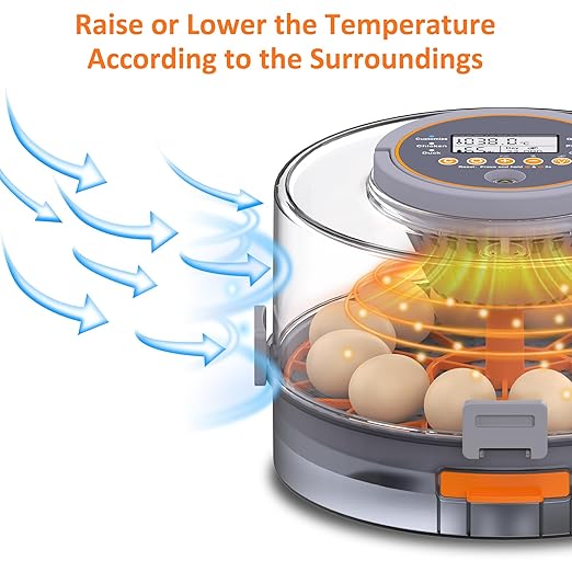 12 Egg Incubator with Automatic Egg Turning and Humidity Control, Intelligent - Image 2