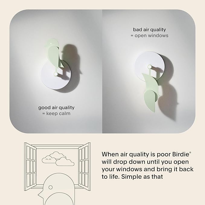 Birdie 2.0 - Design Indoor CO2 Monitor - Air Quality Meter - Image 3