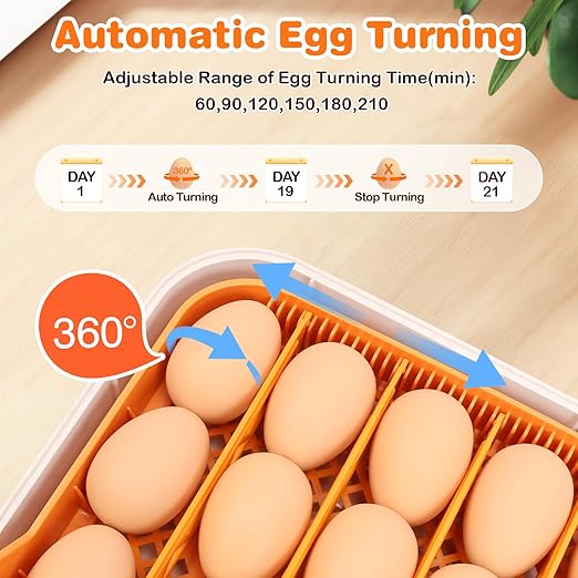 56 Egg Incubator for Hatching Chicken, Egg Incubator - Image 2