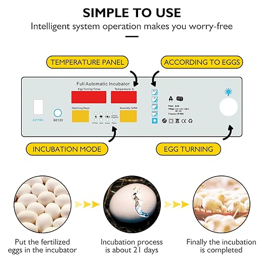 Egg Incubator, Egg Incubator - Image 5