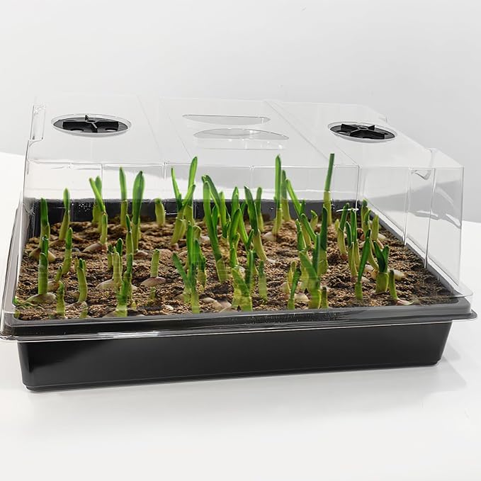 4-Pack Seed Starter Trays with 5'' Tall Humidity Domes – Reusable Plant - Image 7