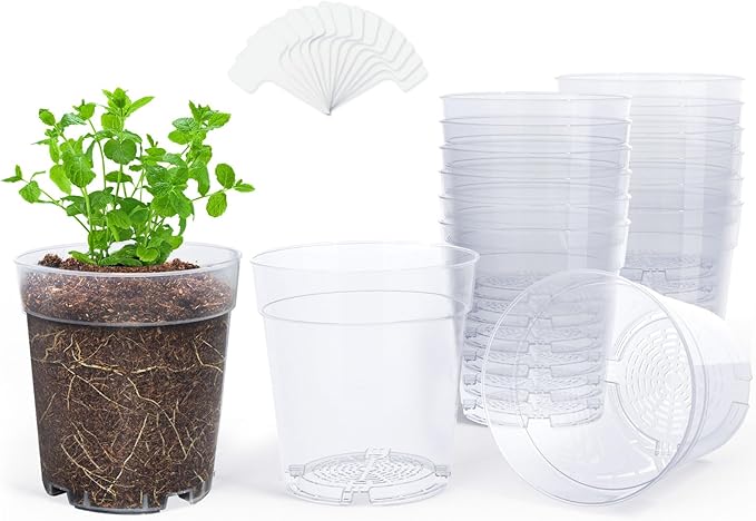 homenote Clear Nursery Pots for Plants, 6.7 Inch Plant Pot for Planting Plastic - Image 8