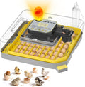 Incubator for Hatching Eggs-48 Egg Capacity, 2026 Newly Upraded Auto Egg Turner by IBKINXX